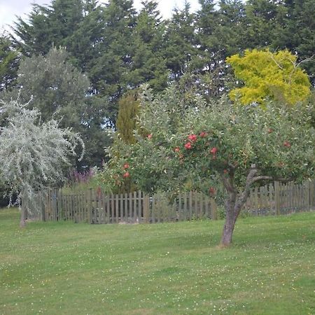 The Willow Studio - Peaceful Retreat Near Whitstable Seaside Faversham Kültér fotó