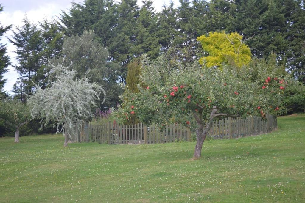 The Willow Studio - Peaceful Retreat Near Whitstable Seaside Faversham Kültér fotó
